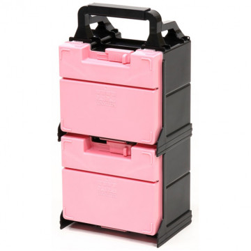 Cassetta Rosa Porta Attrezzi e Mini 4WD